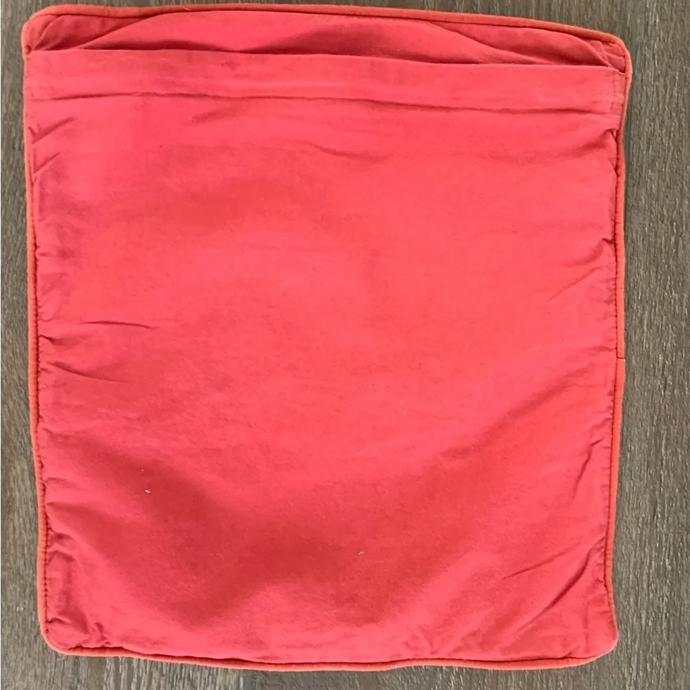 Pier one pillow case